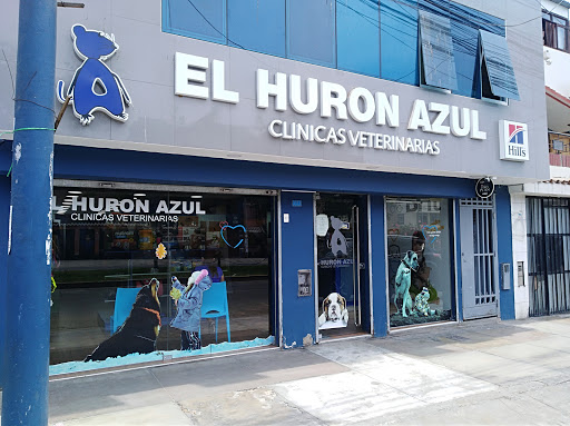 Veterinaria El Huron Azul