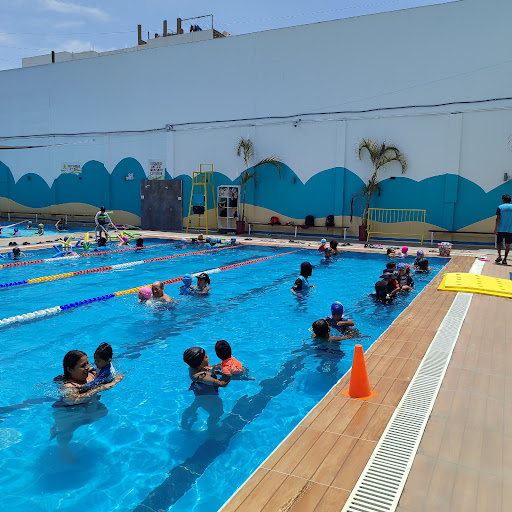 Academia de Natación California