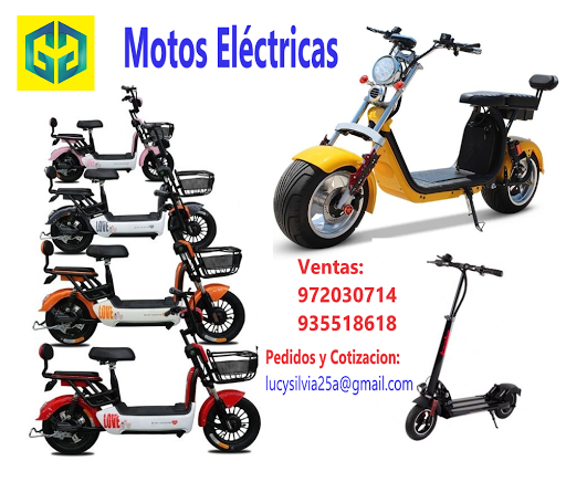 ZP MOTOS Electricas