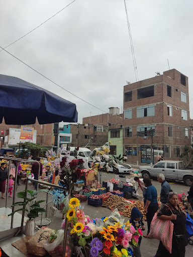 Distribuidora San Fernando - San Martin de Porres