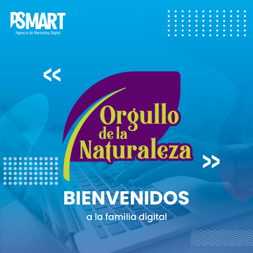 PointSmart - Diseño Web, Hosting y Marketing Digital